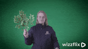 Wizzflix_ dance party dancing green GIF