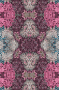 Kaleidoscope Figures GIF by Luis Ricardo