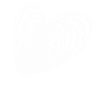 Heart Branco Sticker