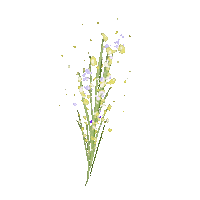 Flowers Decorating Sticker