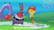 season 9 GIF by SpongeBob SquarePants