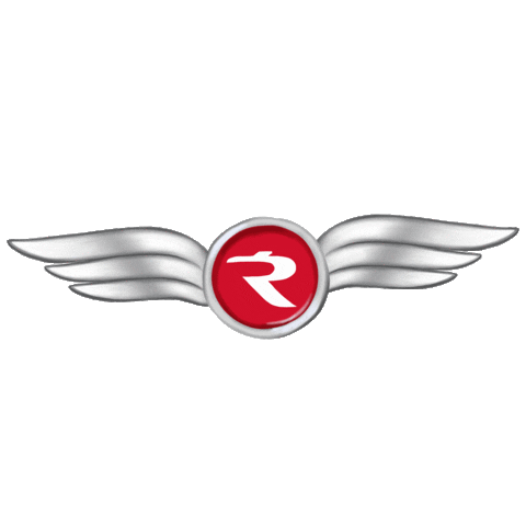 wings Sticker by Rossiya Airlines