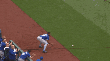 Blue Jays Baseball GIF by Toronto Blue Jays
