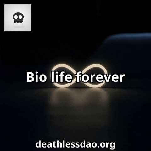 Life Ai GIF by deathlessdao