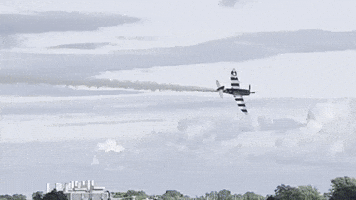 Usa Flying GIF