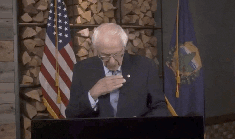 Stop It Bernie Sanders GIF by Election 2020