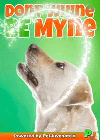 PetJuvenate petjuvenate henlo hooman fren love rescue dogs treatos and woofer for pupper GIF