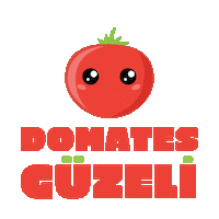 Tazedirekt vegan yemek mis organik Sticker