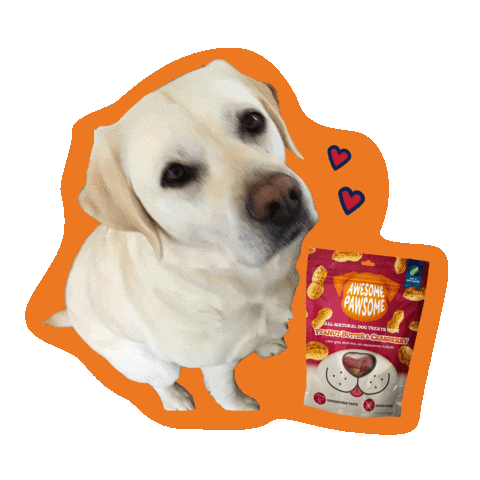 AwesomePawsomeTreats love happy heart dog Sticker