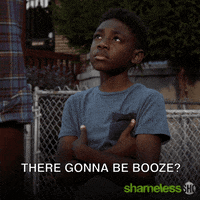 Episode 4 Showtime GIF by Shameless