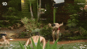 High Five Jump GIF by Big Brother Australia