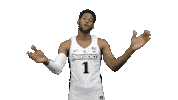 Lets Go Basketball Sticker by Providence Friars