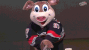 hockey nhl GIF by Carolina Hurricanes
