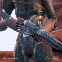 Survival Weapon GIF by Funcom