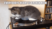 GIF by TEN Music Group