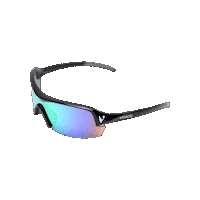 Inverse Sticker by VOICE SPORTS