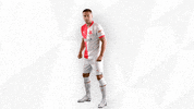 Football Sport GIF by SK Slavia Praha