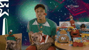 washington wizards dogs GIF by NBA