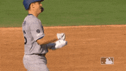 Regular Season Sport GIF by MLB