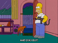 homer simpson GIF