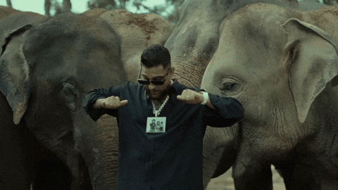 Music Video Dancing GIF by Karan Aujla