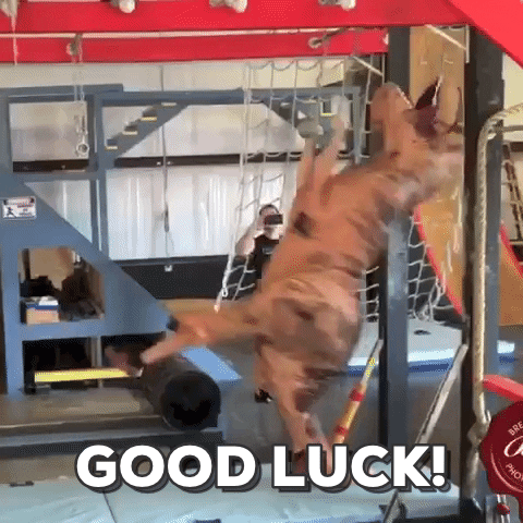 Video gif.  A person wearing an inflatable T-Rex costume dangles from monkey bars and climbs a rope ladder. Text, "Good Luck!"