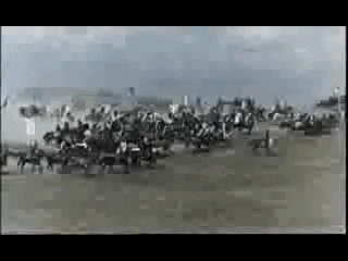 GIF by TVP.PL