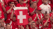 Proud Fifa World Cup GIF by DAZN