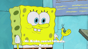 season 9 episode 20 GIF by SpongeBob SquarePants