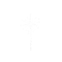 Summer Flower Sticker