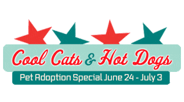 Adopt 4Th Of July Sticker by adltexas