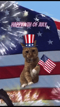 4Th Of July Usa GIF by Respective