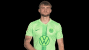 Germany Deal With It GIF by VfL Wolfsburg
