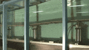 uc berkeley water GIF by University of California