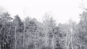 BeNatural film movies woman black and white GIF
