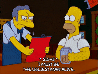 homer simpson moe GIF