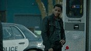 Stumptown GIF by ABC Network