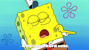 season 9 episode 6 GIF by SpongeBob SquarePants