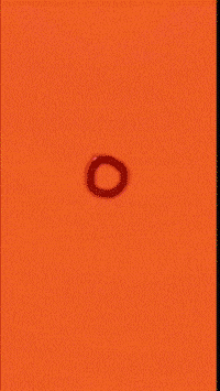 Eye X GIF
