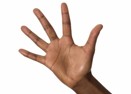 internet hand GIF