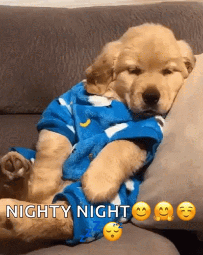 Night Night GIF