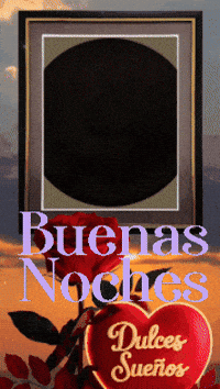 Amigos Flores GIF by Murcianys LLC