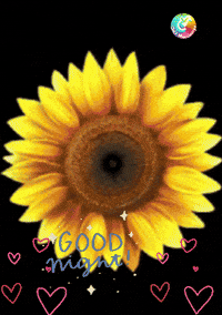 Good Night Feliz GIF by Murcianys LLC