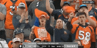 Regular Season Football GIF by NFL