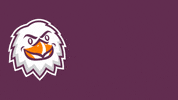 Proud College GIF by Post University