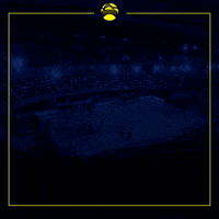 GIF by CAPITANES CDMX