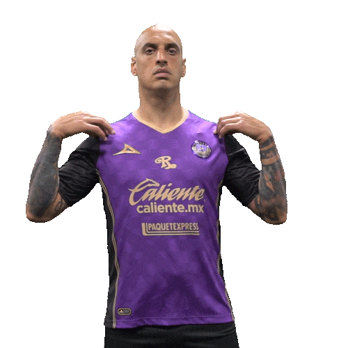 Mazatlan Nahuelpan Sticker by Mazatlán F.C.