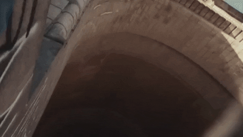 New York Friends GIF by Evann McIntosh