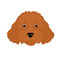 Athenia_Marketing dog cute dog nala cavapoo Sticker