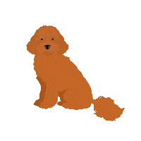 Athenia_Marketing dog cute dog nala cavapoo Sticker